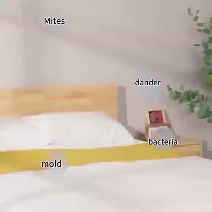 Vaccumate™ Mattress Vacuum Cleaner